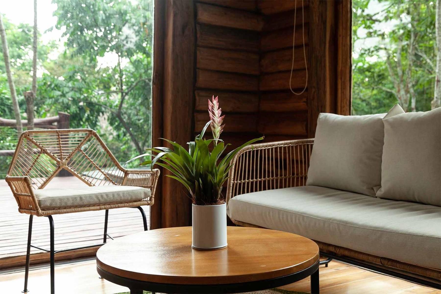 Hotel Boutique Maitta En Doradal Antioquia Εξωτερικό φωτογραφία